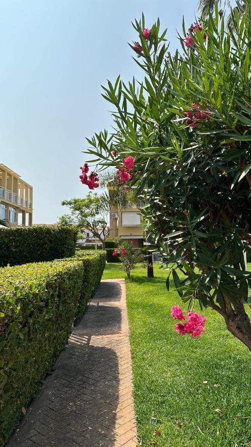 La Rosaleda 17 Apartment เดเนีย ภายนอก รูปภาพ
